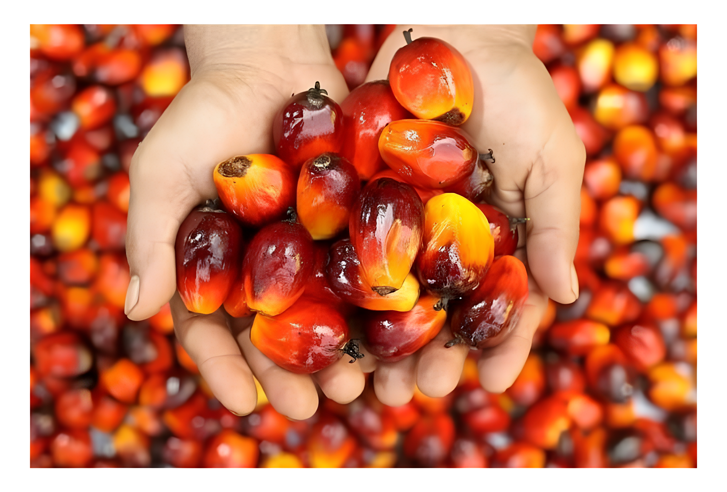 Project image showcasing a website design